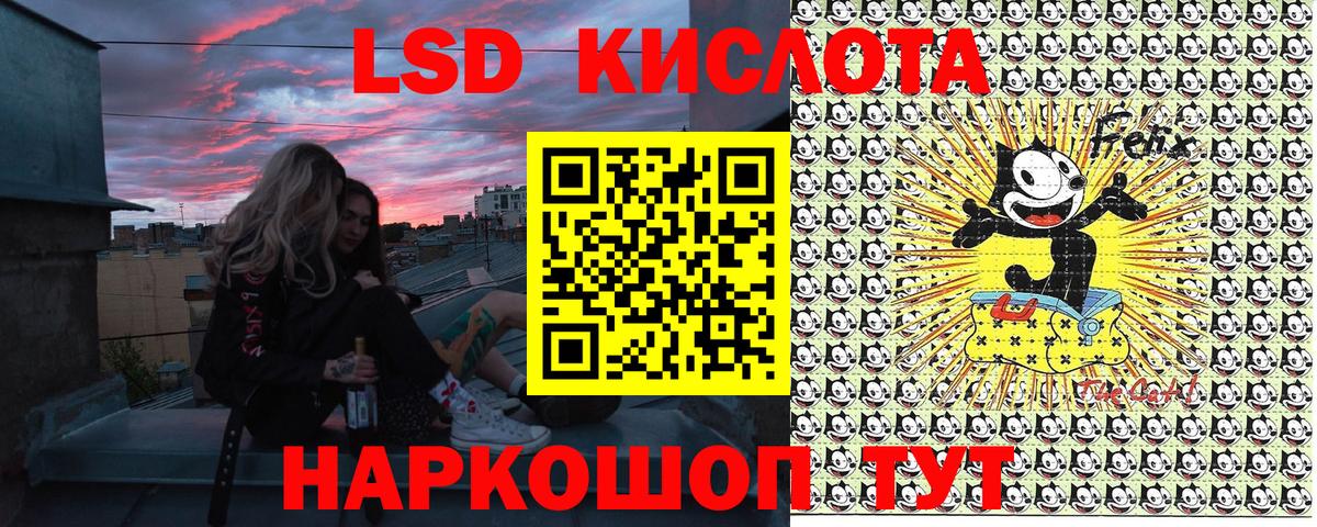 Наркотические марки 1500мкг  Вход с VPN  Наркотические марки  Наркотические марки 1500мкг  Выборг 